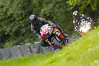 brands-hatch-photographs;brands-no-limits-trackday;cadwell-trackday-photographs;enduro-digital-images;event-digital-images;eventdigitalimages;no-limits-trackdays;peter-wileman-photography;racing-digital-images;trackday-digital-images;trackday-photos